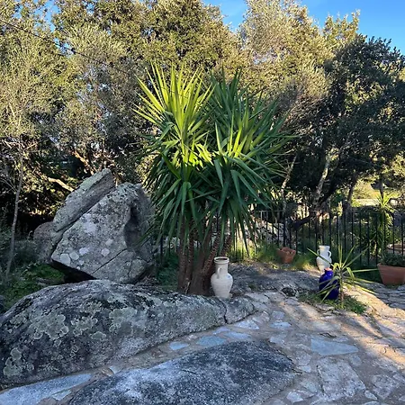 Pianelli Villa Porto-Vecchio (Corsica)
